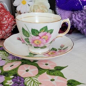 Royal Vale Bone China Teacup and Saucer set Pink Wild Rose floral England